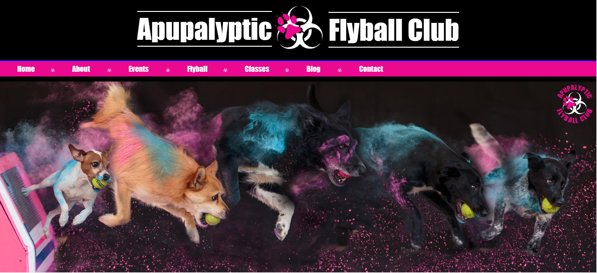 Apupalyptic Flyball